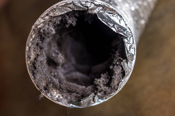 Air Duct Mold Removal in Baker City, OR